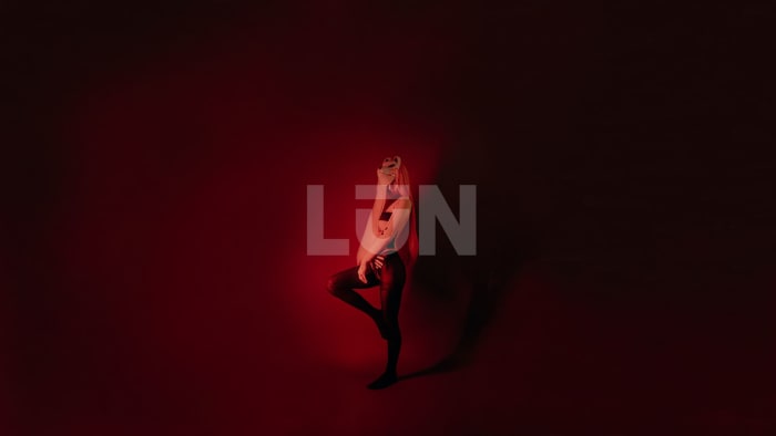 Après un certain nombre de sorties musicales dans lesquelles elle a gardé son identité cachée, LŪN s'est révélée être Lights.