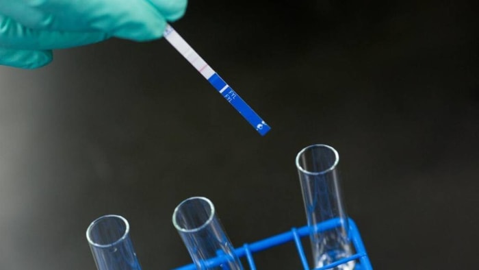 Une démonstration de l'utilisation de bandelettes de test de fentanyl au laboratoire du département de la santé du Rhode Island en janvier 2018.