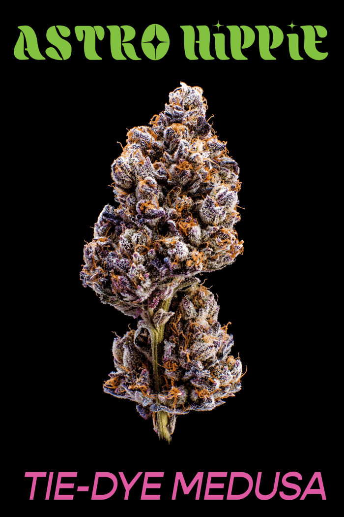 Les "Tie-Dye Medusa" variété de la nouvelle gamme de cannabis Astro Hippie de GRiZ.