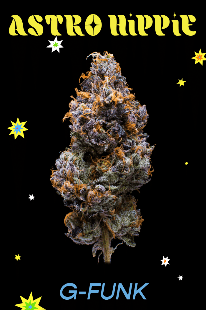 Les "G-Funk" variété de la nouvelle gamme de cannabis Astro Hippie de GRiZ.